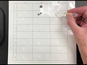 Mystery powders lab ~ unknowns experiment