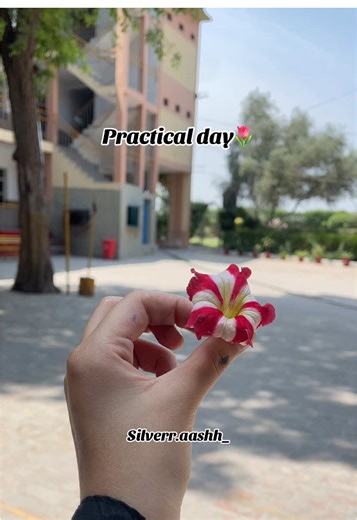 🌻 (@silverr.aashh_)’s videos with original sound - Mehran Khan official 🎸