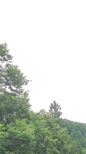 ☁️7月6日10:20am現在の天気/気温26℃湿度90% #金沢市医王山地区空の状況(2026年)