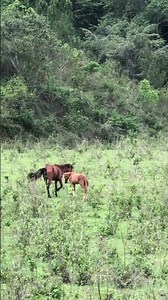 Siguiente video nuevo Fr aventuras RD de República Dominicana