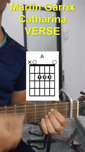 Guitar Tutorial Martin Garrix Catharina