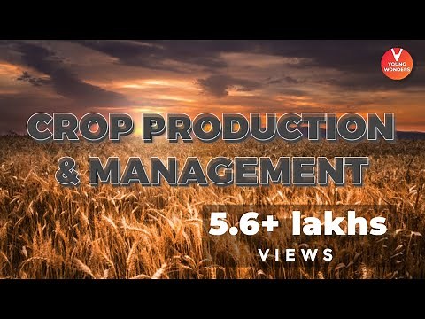 Crop Production and Management | Class 8 Science | Vedantu Junior