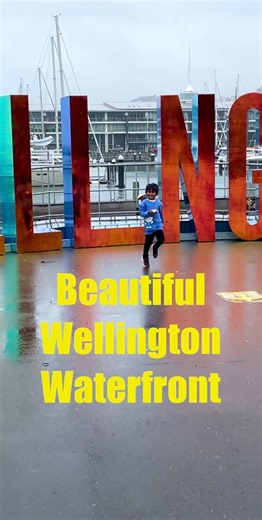 📍 Wellington, New Zealand Strolling along the beautiful Wellington waterfront with stunning views of the harbour and the iconic Wellington sign in the background. A perfect spot to soak in the capital’s charm! 🌊✨ #WellingtonWaterfront #WellingtonNZ #DiscoverNZ #TravelNewZealand #ScenicViews #wellingtonsign | Kiwi Travel Vlogs