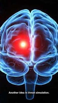 Why Do Humans Dream #Dreams #Neuroscience #BrainHealth