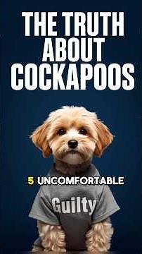 COCKAPOO FACTS 🐶 Truth About Cockapoodle's Funny Personality Traits & Best Puppy Dog Training Tips!