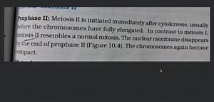 Prophase II: Meiosis II is initiated immediately after cytokine... | Filo