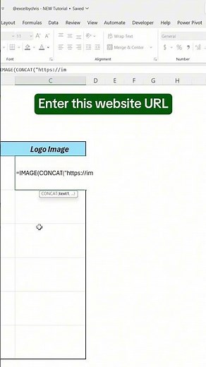 How to import brand logos in Excel! #excel #spreadsheet #exceltips