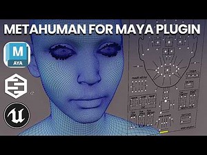 How to Set Up MetaHuman for Maya Plugin — Step by Step Guide - Unreal Engine 5.7 and Maya 2025