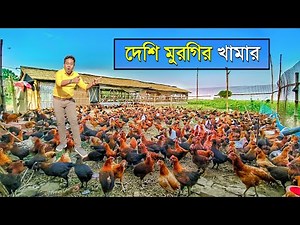 আদর্শ দেশি মুরগির খামার | Murgi Farming | Layer Murgi Farm | Local Murgi Farm | Desi Poultry Farm