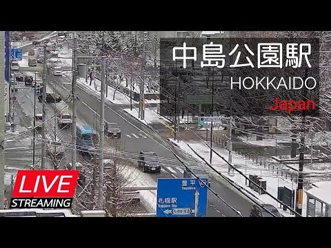 2026.1.1_1【LIVE】道路状況・中島公園駅周辺 札幌市中央区南８条西４丁目