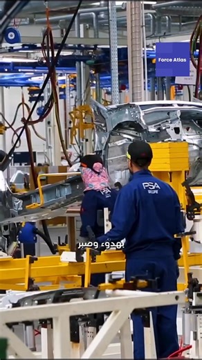 Force Atlas - FA on Reels