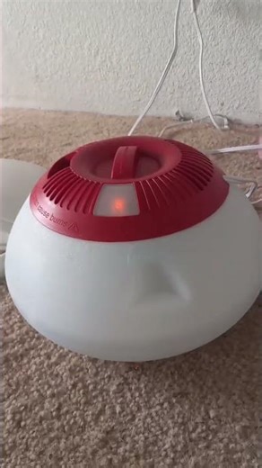 WALGREENS VAPORIZER REVIEW
