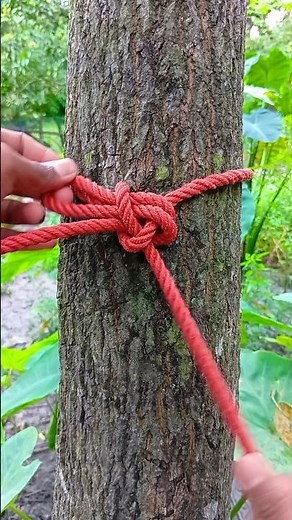 How to Tie a Strong Knot Around a Tree