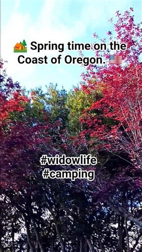🏕#springtime♿️#shorts🇺🇲#widowlife #disabled #camping #oregoncoast