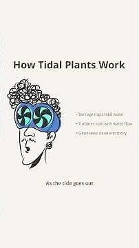 How Does Tidal Power Work? Harnessing the Ocean's Energy Explained
