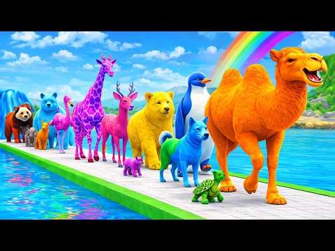 دعاء خاشع في اليوم التاسع من شهر رمضان المبارك دعاء خاشغ تهتز له القلوب - Doa Ramadan - علاء عقلV