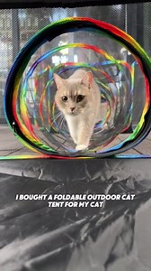Outdoor Cat Enclosures for Cats Indoor, Patio Portable Mesh Cat Tent, Tunnel, Playhouse with Free Carry Bag & Metal Rod for Multiple Small Animals, Includes Cat Playpen+Cat Tent+Pet Tunnel, Rainbow