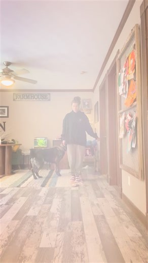 Working on eliminating handler help to find position, and adding slight pressure to achieve quicker and cleaner movement. #dogtraininglife #dogsports #germanshepherd | Lauryn Nichols