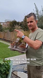 Big spaces? No problem! Antony planted up both a 30-metre sunny and shady border, and came back a few months later to show the transformation. Garden on a Roll isn’t just for small gardens. Whether it’s a compact courtyard or a wide open space, our borders grow beautifully wherever they go. #GardenOnARoll #BigGardenProject #SunnyBorder #ShadyBorder #EasyGardening #BeforeAndAfter #GardenTransformation #PlantingMadeEasy | Garden on a Roll