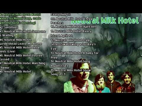 Neutral Milk Hotel: Iconic Songs of All Time - A Timeless Indie Collection