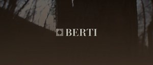Parquet and Wood Flooring made in Italy | Berti Pavimenti