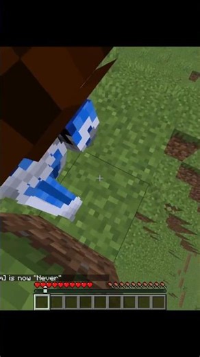 How to Disable Player Collision in Minecraft