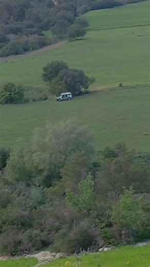 Vidéos de Djamel Djamel (@djamel.djamel294) avec الصوت الأصلي - {{{{« ☻ ↯ xقنآإصص}}}}