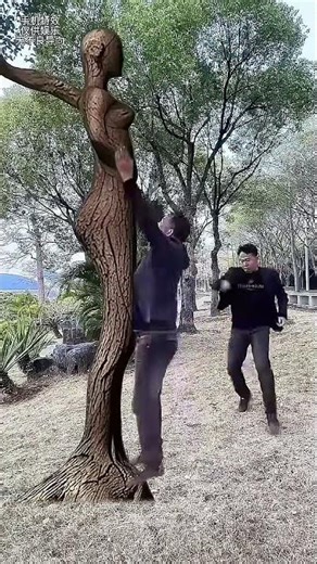 Can't I recognize you if I turn into a tree Magical tree mobile phone special effects