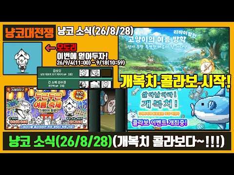 【냥코대전쟁】냥코 소식(26/8/28) / 개복치 콜라보에 (초회 리셋) 소식까지?