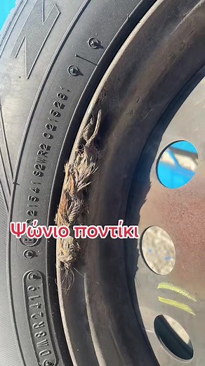 Exploring Tire Condition and Tread Patterns