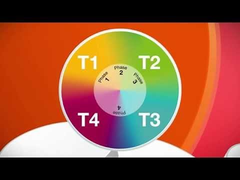 Understanding the Spectrum of Translational Research
