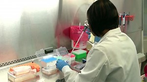 'Take the sample': Minnesota to open COVID-19 testing to all symptomatic patients