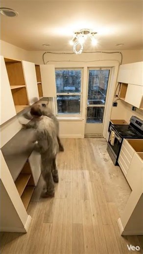 Insane Kitchen Makeover Time-Lapse! 🤯🛠️