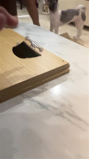 Fingerboarding Fun This Christmas Season