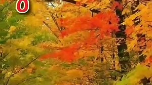 VID-20231015-WA0000.mp4