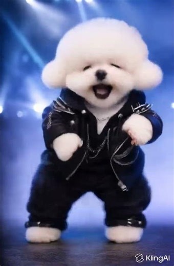 Bichon Coco's Stray Kids - "Backdoor" Cover #bichon #cute #bichonfrise #ai #dance #straykids #skz