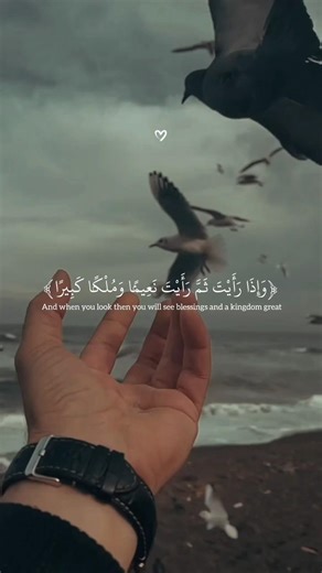 Surah Al-Insan | Recited by Islam Sobhi 🥰❤️