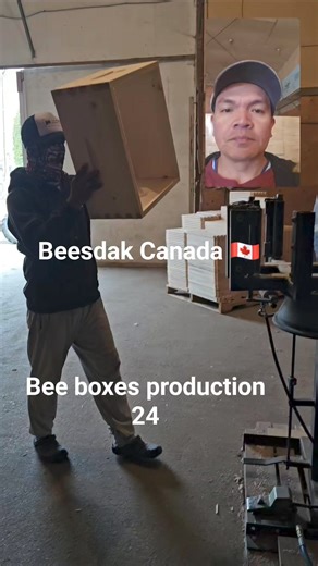 Bee boxes production 2024 #beesdakcanada #beekeeping | Beesdak Canada