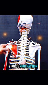 30K views · 275 reactions | The Science Backed Shortcut to Boulder Shoulders – It’s Insane! #gym #gymtok #bodybuilding #fyp #muscle#shoulders #bouldershoulder #science #foryoupage | Ryan Humiston | Facebook