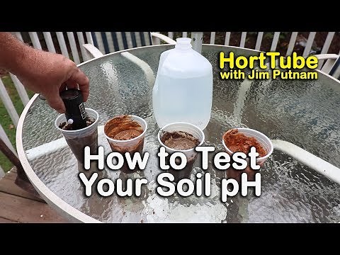 How to Test Your Soil pH - My Yard Needs Lime in the Worst Way