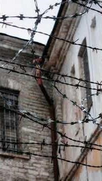 Fr .Gheorghe Calciu : The Shocking Story Of The Two Criminals #orthodoxfaith
