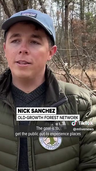 New 114-Acre Old-Growth Forest Preserve in Michigan