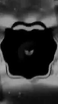 PYTHON PHONK ( ULTRA SLOWED ) ☠️ EDITION