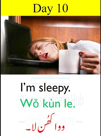 Chinese Sentence Practice Day 10: Learn with Urdu