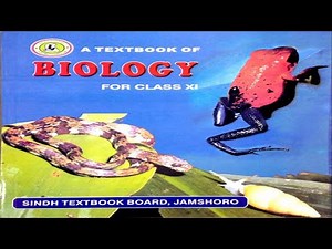 8.5 -LIFE CYCLE OF ASCOMYCOTA || CHAPTER 8-KINGDOM FUNGI || FIRST YEAR BIOLOGY