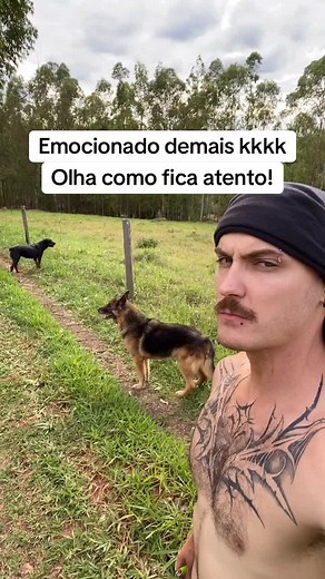 #dog #dogs #rottweiler #germanshepherd #dachshund