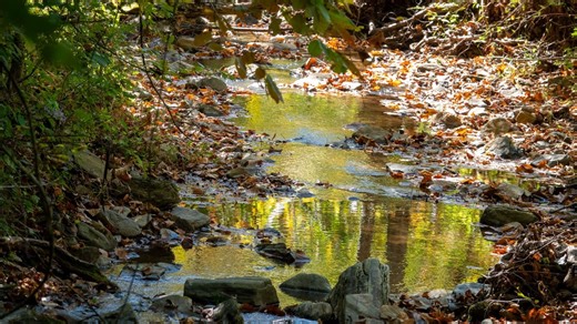 Foothills Conservancy acquires over 1,500 acres to expand Pinnacle Mountains Preserve