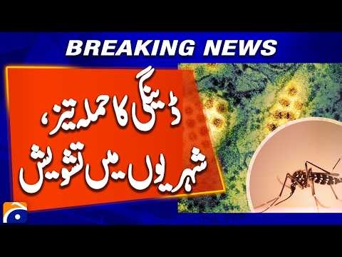 Dengue Virus Spreading Rapidly – Urgent Health Alert!