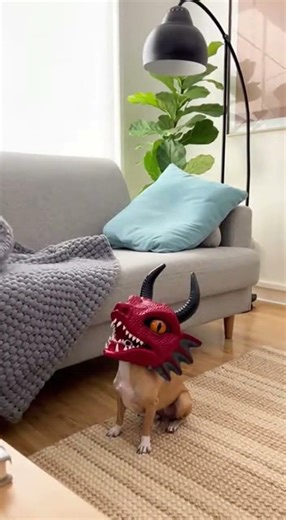 Bro is 5x Bigger But Has ZERO Bravery 😏