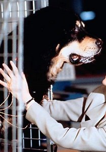 Man's Best Friend Trailer (1993)